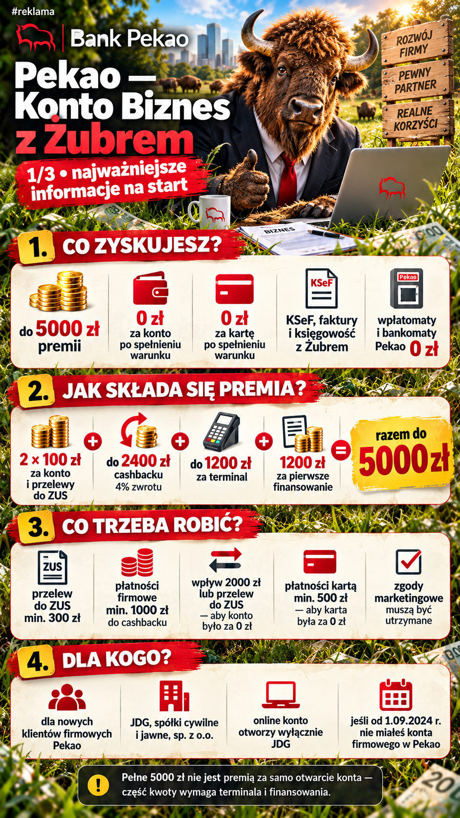 Pekao Konto Biznes z Żubrem – pełne informacje część 1 z 3