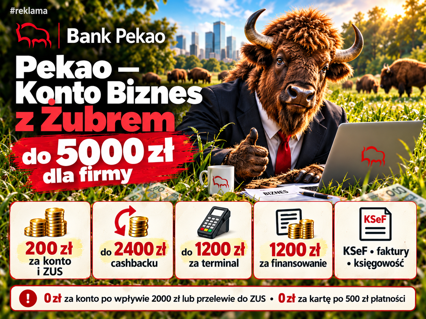 Pekao Konto Biznes z Żubrem – grafika na stronę zbiorczą